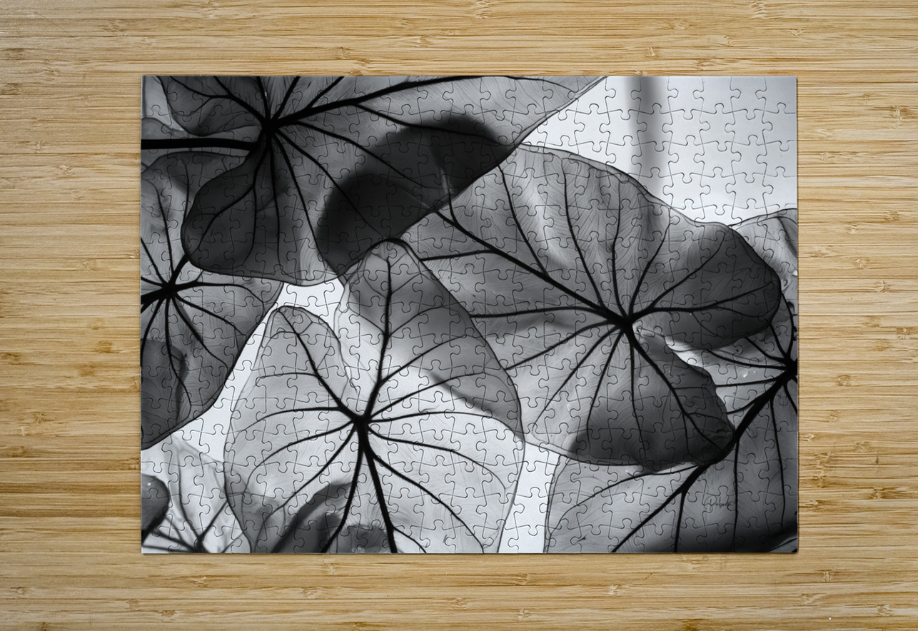 Caladium Leaves in Black and White Pabodie Art Puzzle printing