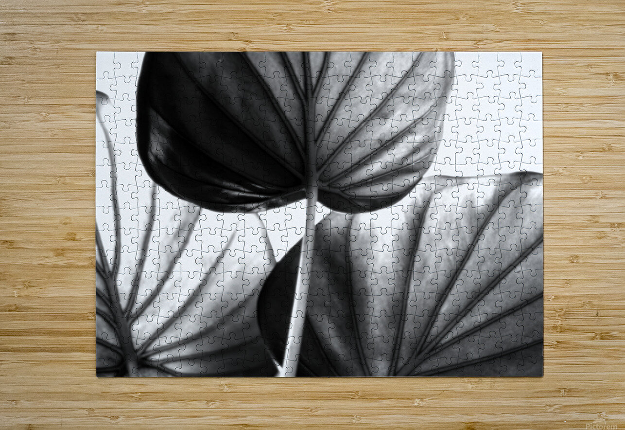 Tree of Life Leaf Art Pabodie Art Puzzle printing