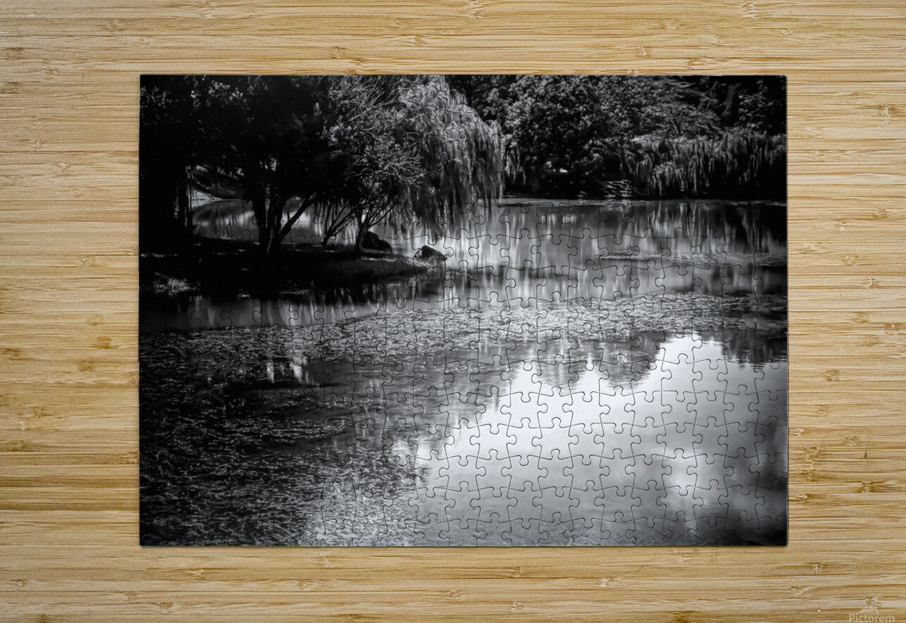 Willow Water Reflections Pabodie Art Puzzle printing