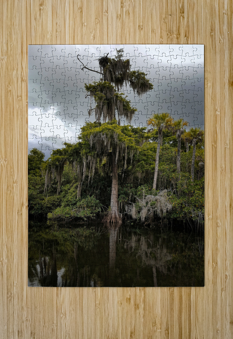 Osprey Nest on the Loxahatchee Pabodie Art Puzzle printing