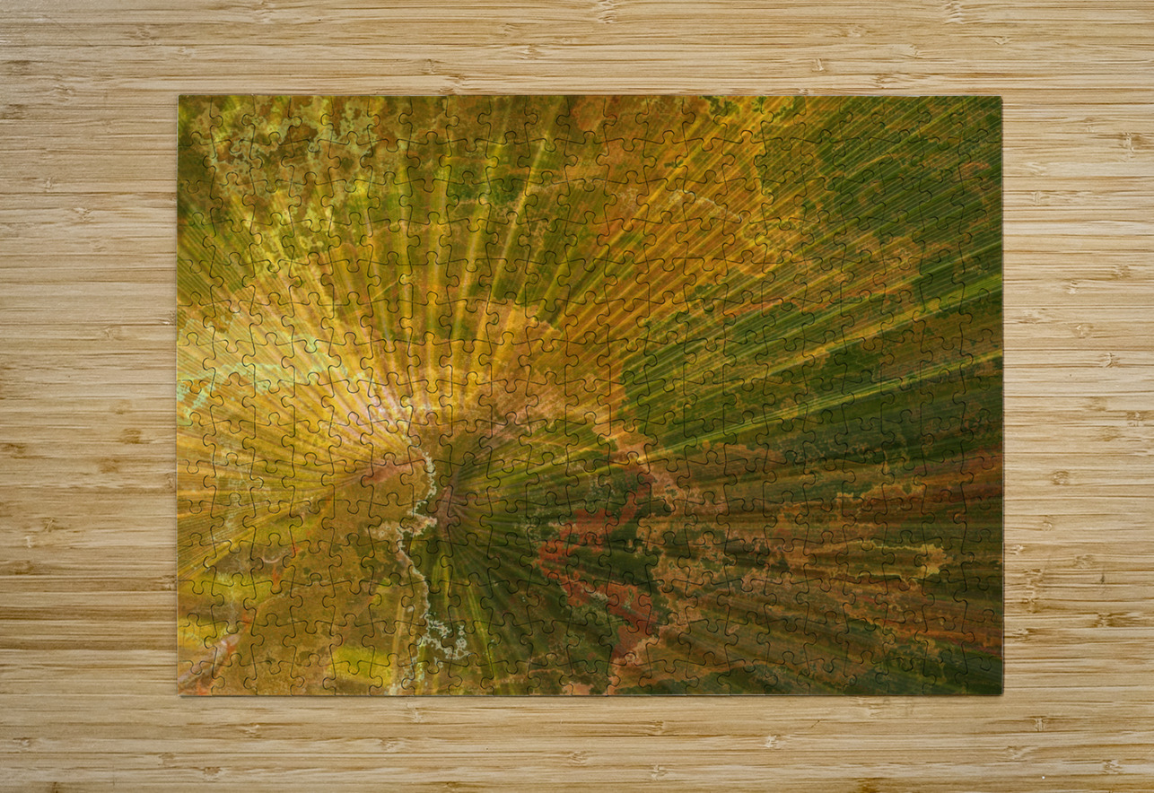 Palm Burst Rays Pabodie Art Puzzle printing