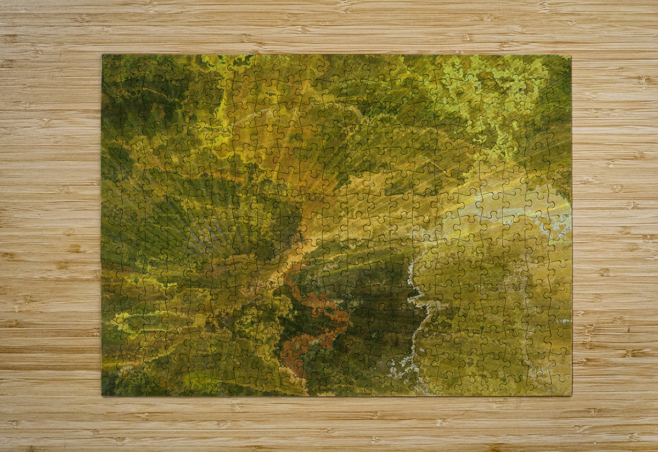 Palm Burst Rays II Pabodie Art Puzzle printing