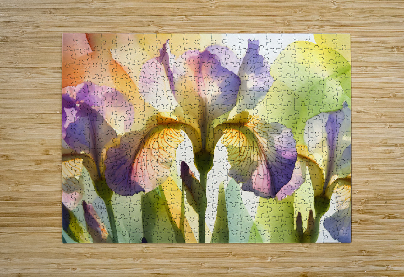 The Beautiful Iris Pabodie Art Puzzle printing