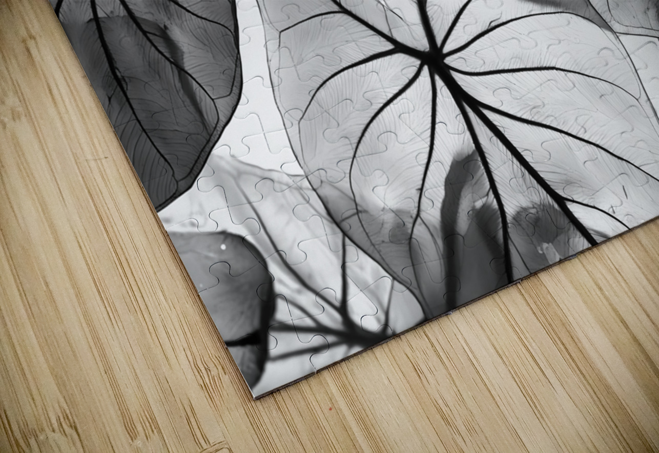 Caladium Leaves in Black and White Pabodie Art Puzzle