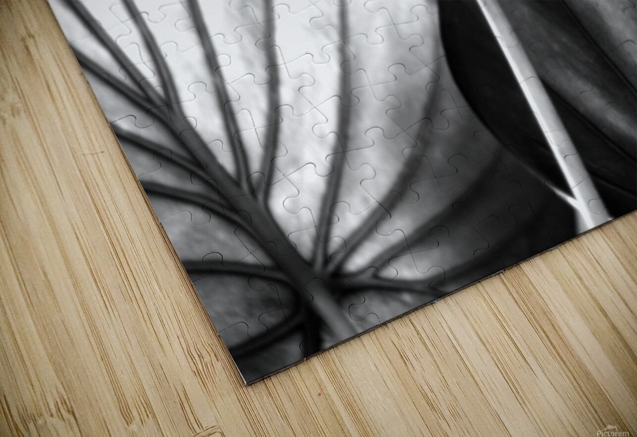 Tree of Life Leaf Art Pabodie Art Puzzle