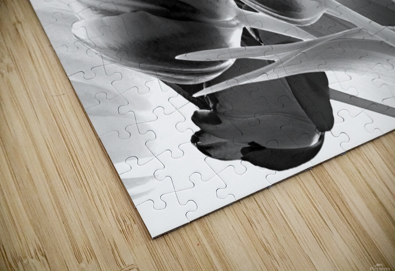 Breezy Blooming Tulips Pabodie Art Puzzle