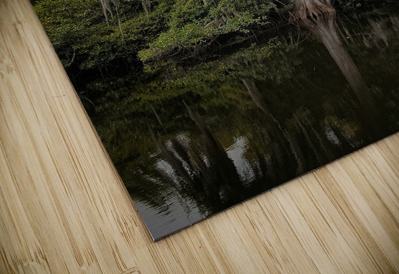 Osprey Nest on the Loxahatchee Pabodie Art Puzzle