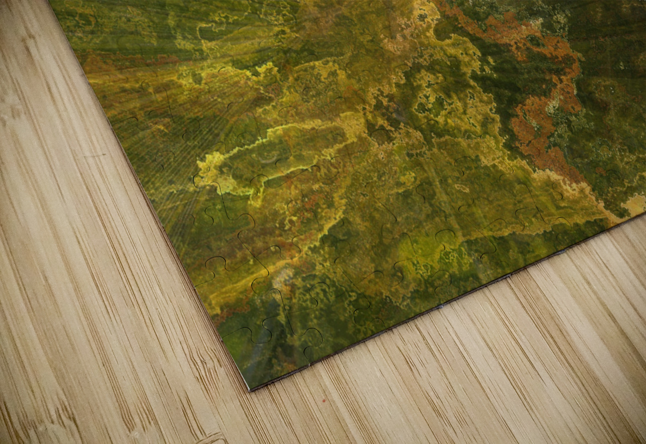 Palm Burst Rays II Pabodie Art Puzzle