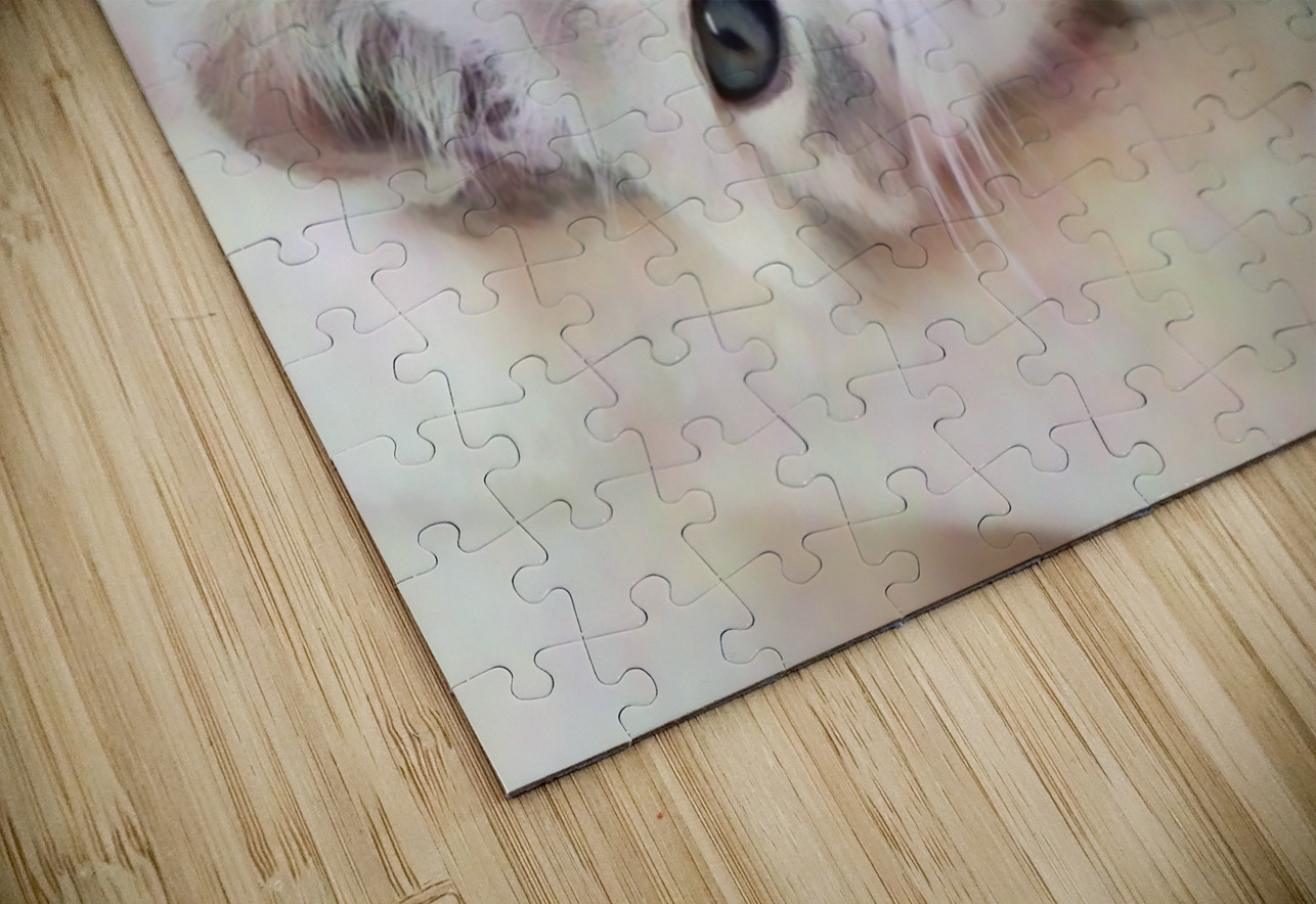 Kitty Cat Snuggling In Pabodie Art Puzzle