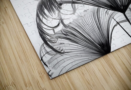 Ribbon Fan Palm Leaves Pabodie Art puzzle