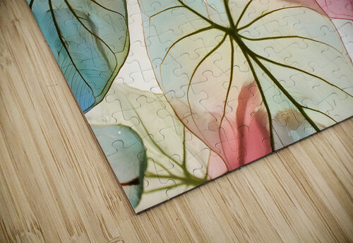 Caladium Colors II Pabodie Art puzzle