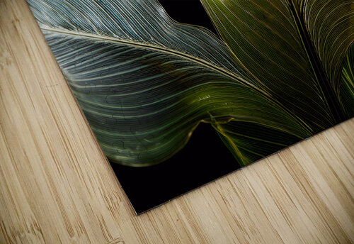 Tropical Leaves on Black Pabodie Art puzzle