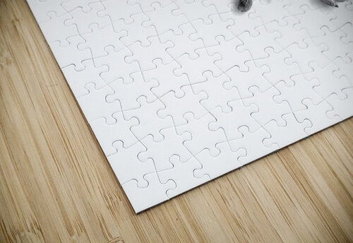 Dried Grasses and Flower Pods Pabodie Art puzzle