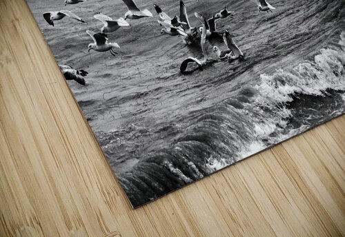 Morning Gulls Pabodie Art puzzle