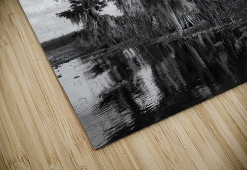Florida Bald Cypress Pabodie Art puzzle