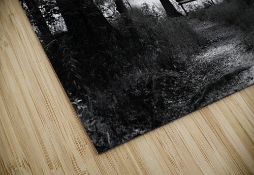 Dark to Light Pabodie Art puzzle