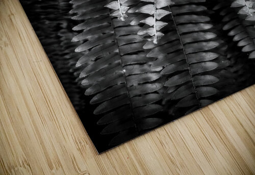 Fern Fronds Pabodie Art puzzle