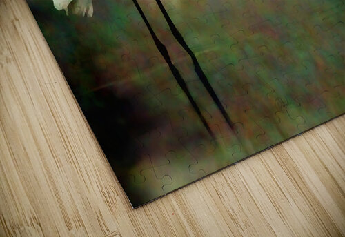 Egret Pabodie Art puzzle