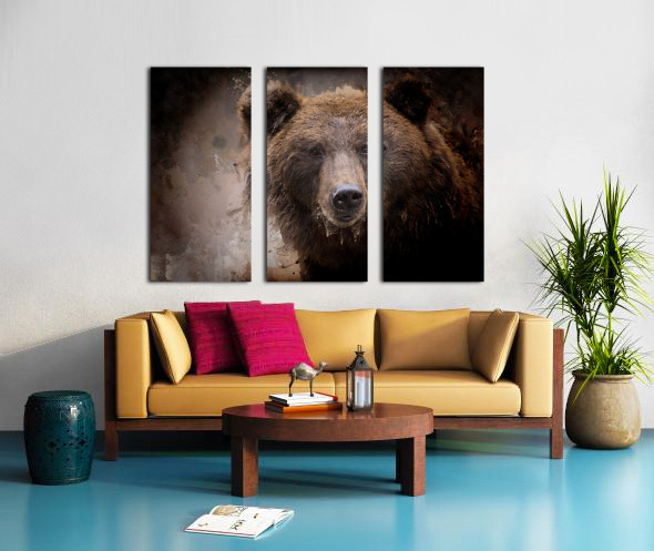 North American Brown Bear Split Canvas print