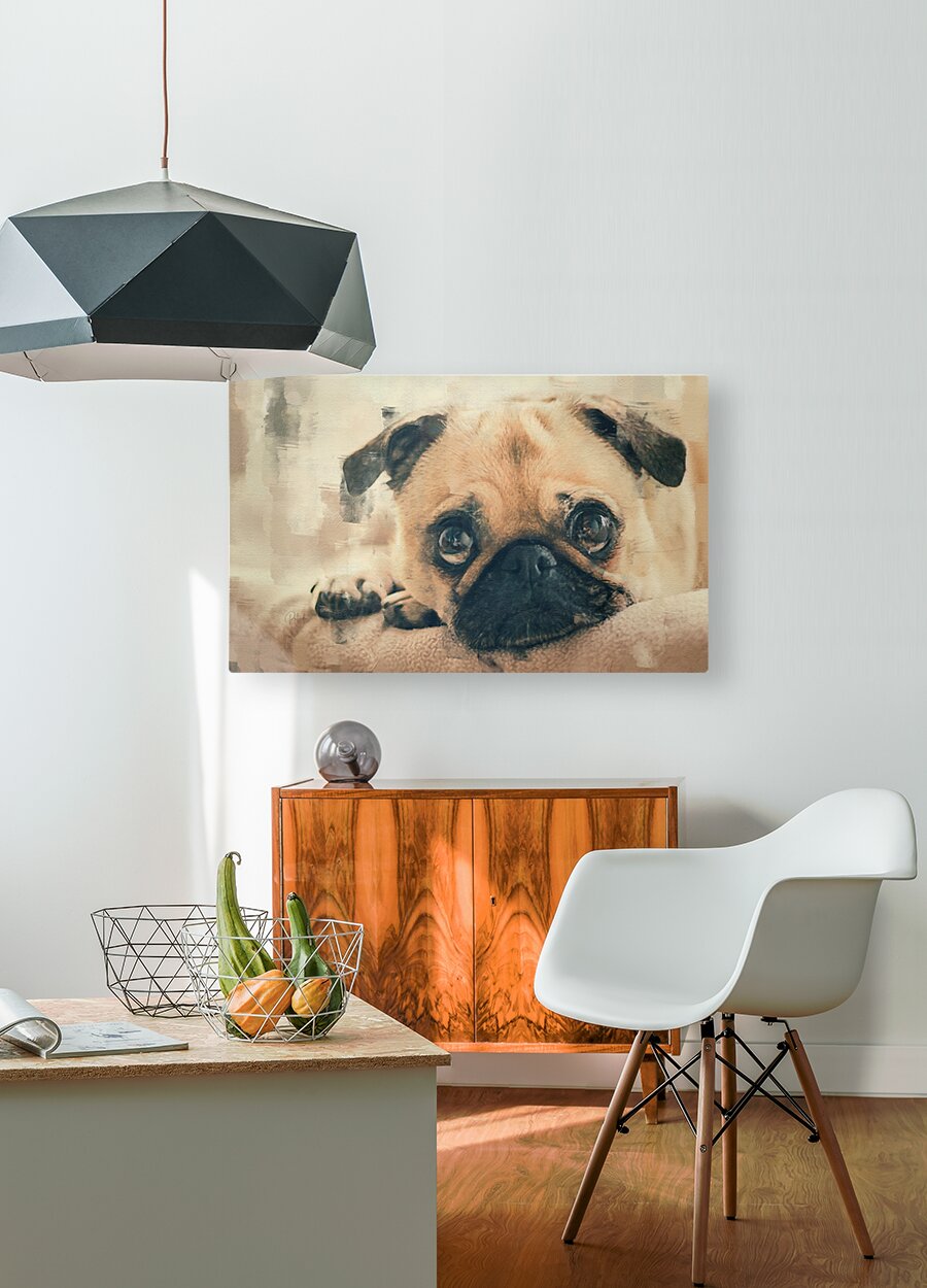 Pug Puppy Portrait  HD Metal print with Floating Frame on Back