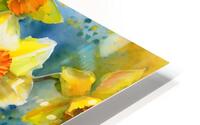 Bright Daffodills HD Metal print