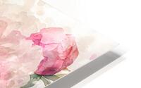 Peonies Watercolor HD Metal print