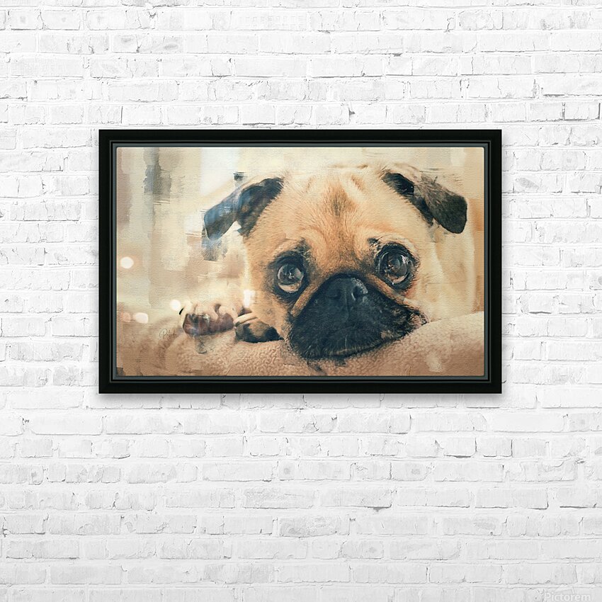 Pug Puppy Portrait HD Sublimation Metal print with Decorating Float Frame (BOX)