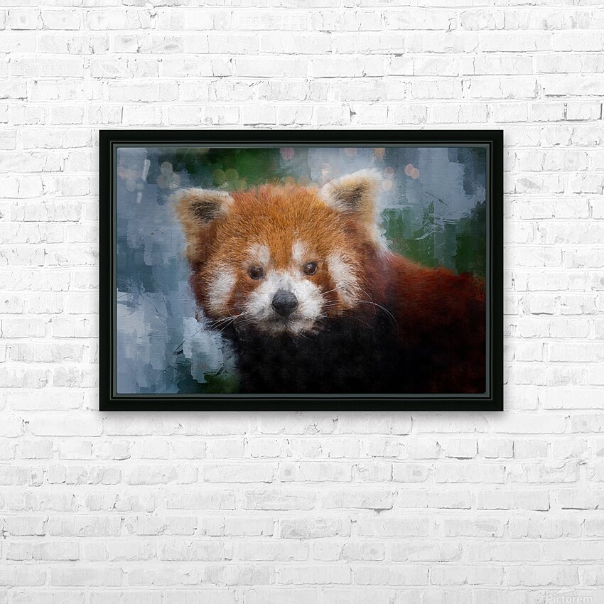 Red Panda Portrait HD Sublimation Metal print with Decorating Float Frame (BOX)