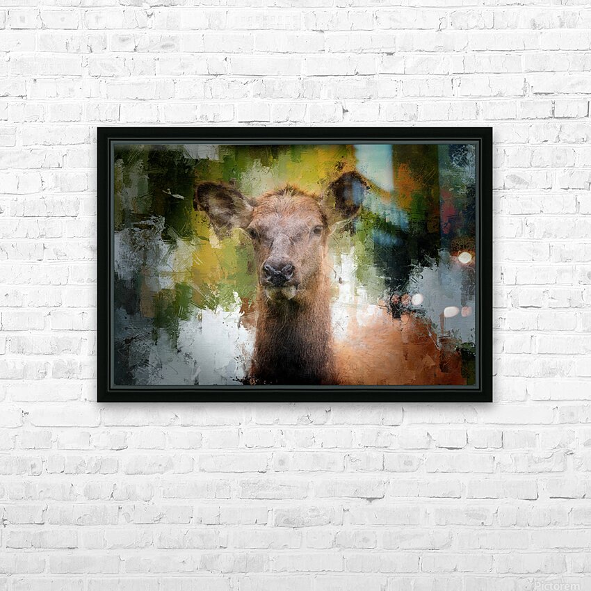 Soft Eyed Doe HD Sublimation Metal print with Decorating Float Frame (BOX)
