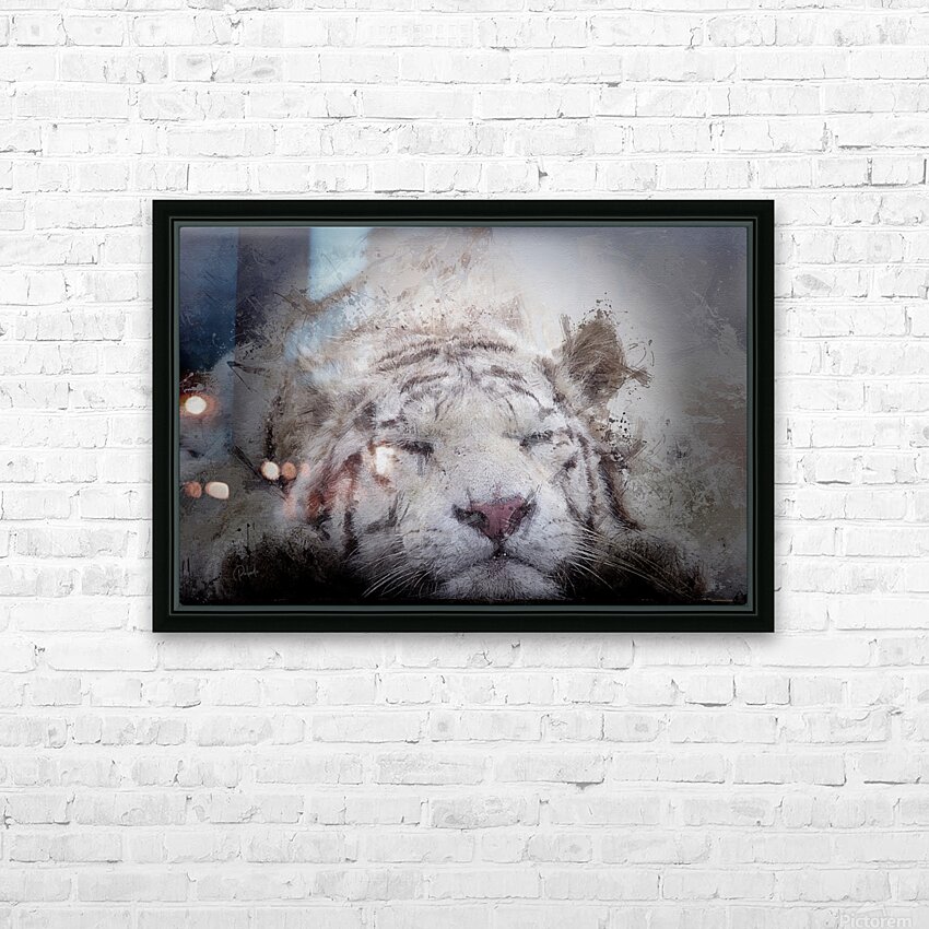 Sleepy White Tiger HD Sublimation Metal print with Decorating Float Frame (BOX)