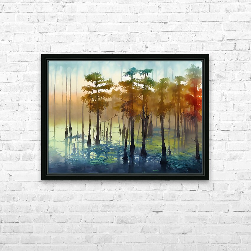 Cypress Trees in the Swamp HD Sublimation Metal print with Decorating Float Frame (BOX)