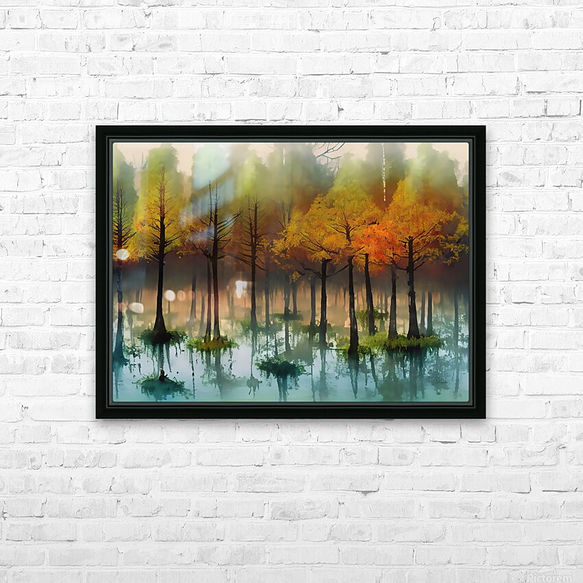 Cypress Trees in the Swamp II HD Sublimation Metal print with Decorating Float Frame (BOX)