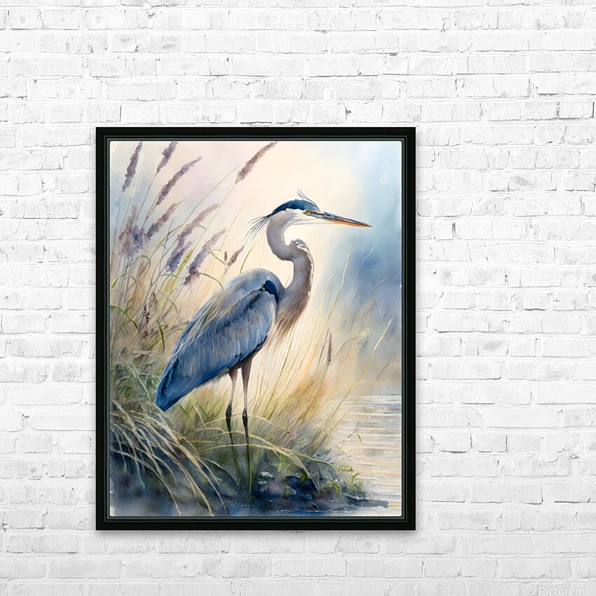Blue Heron In The Seagrasses HD Sublimation Metal print with Decorating Float Frame (BOX)