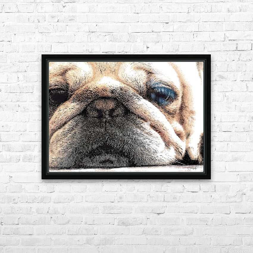 Fig The Miniature French Bulldog HD Sublimation Metal print with Decorating Float Frame (BOX)
