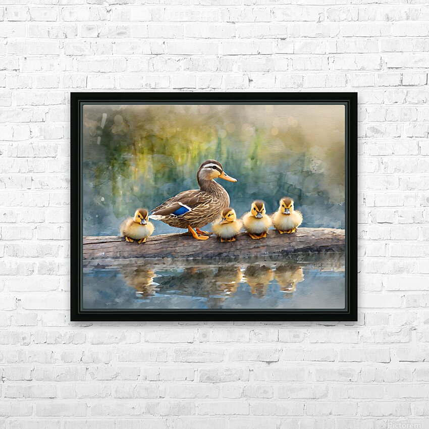 The Mallard Family Portrait HD Sublimation Metal print with Decorating Float Frame (BOX)