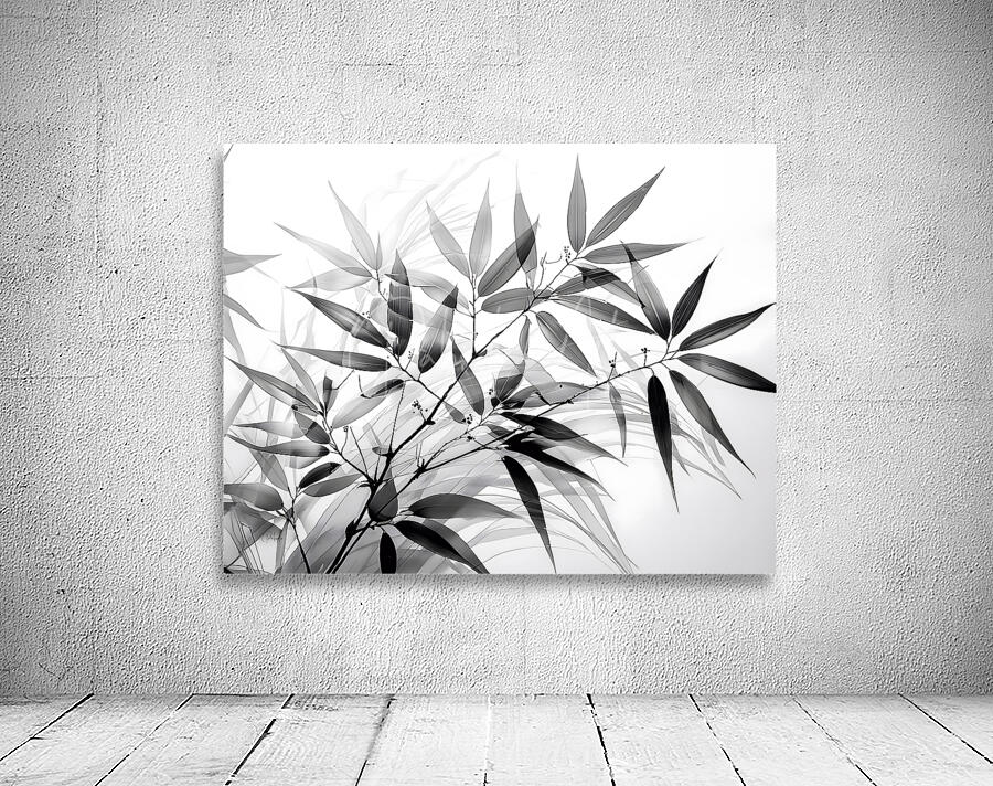 Black and White Bamboo Wall Preview