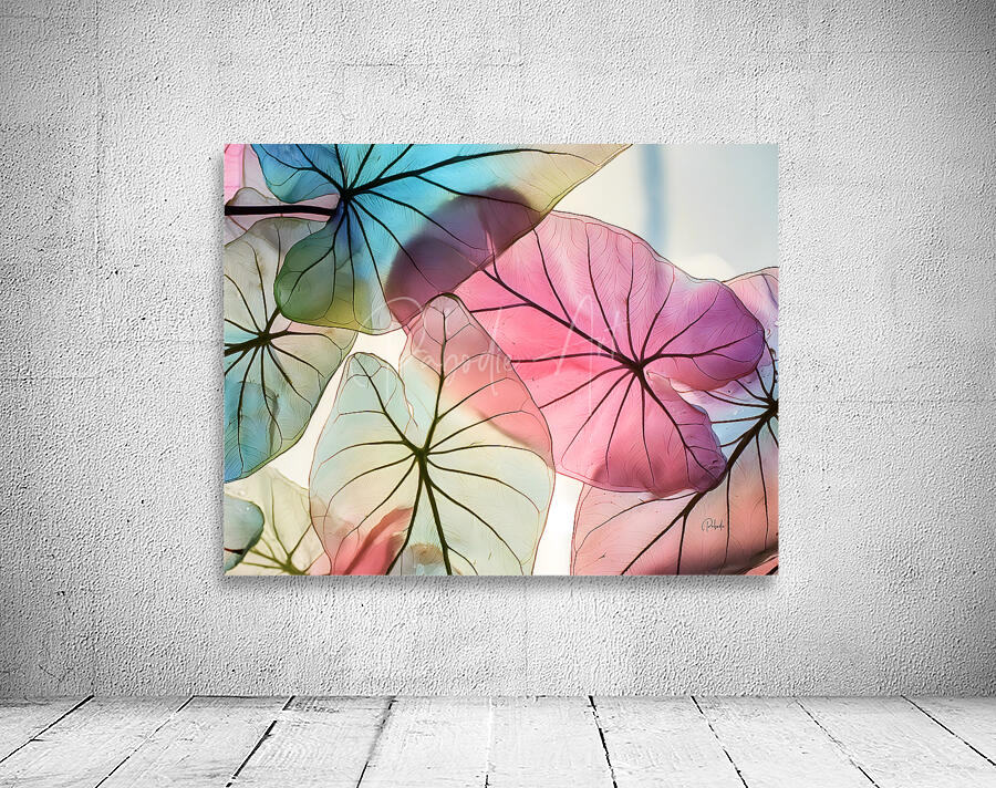 Caladium Colors II Wall Preview