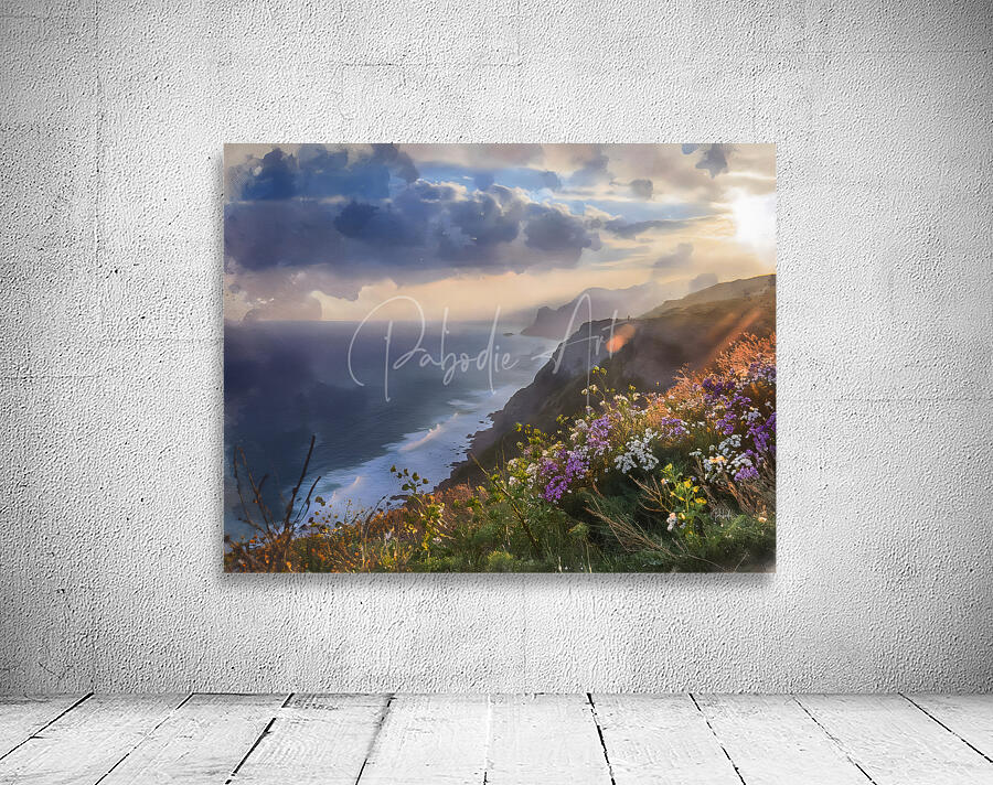 Wildflowers Above the Sea Wall Preview