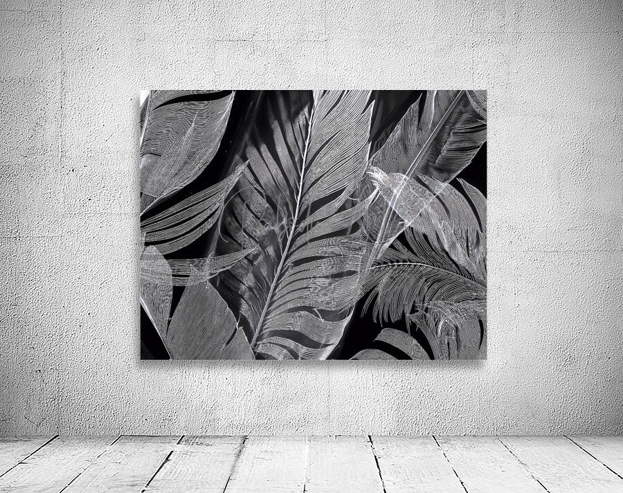Shades of Night Tropics I Wall Preview