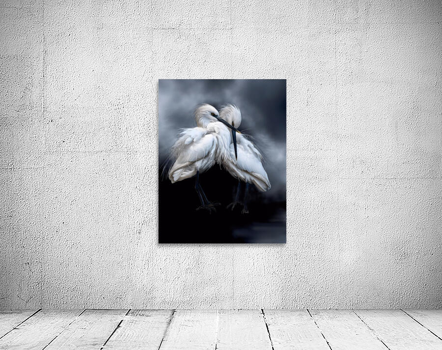 Sleepy Young Egrets Wall Preview