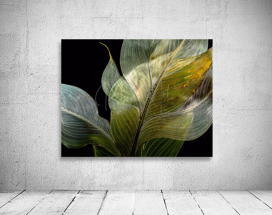 Tropical Leaves on Black Wall Preview