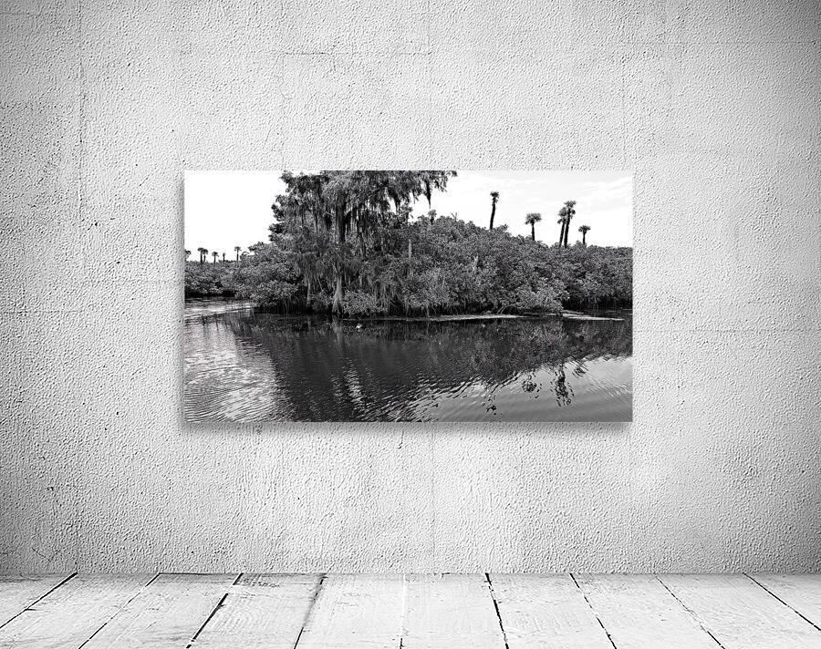 Find The Turtle Wall Preview