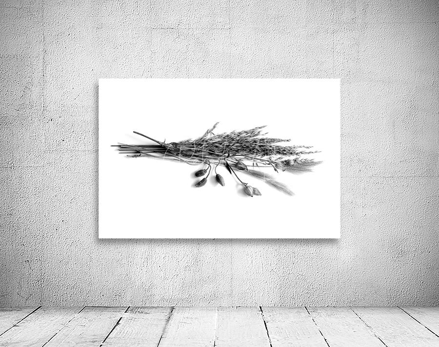 Dried Grasses and Flower Pods Wall Preview