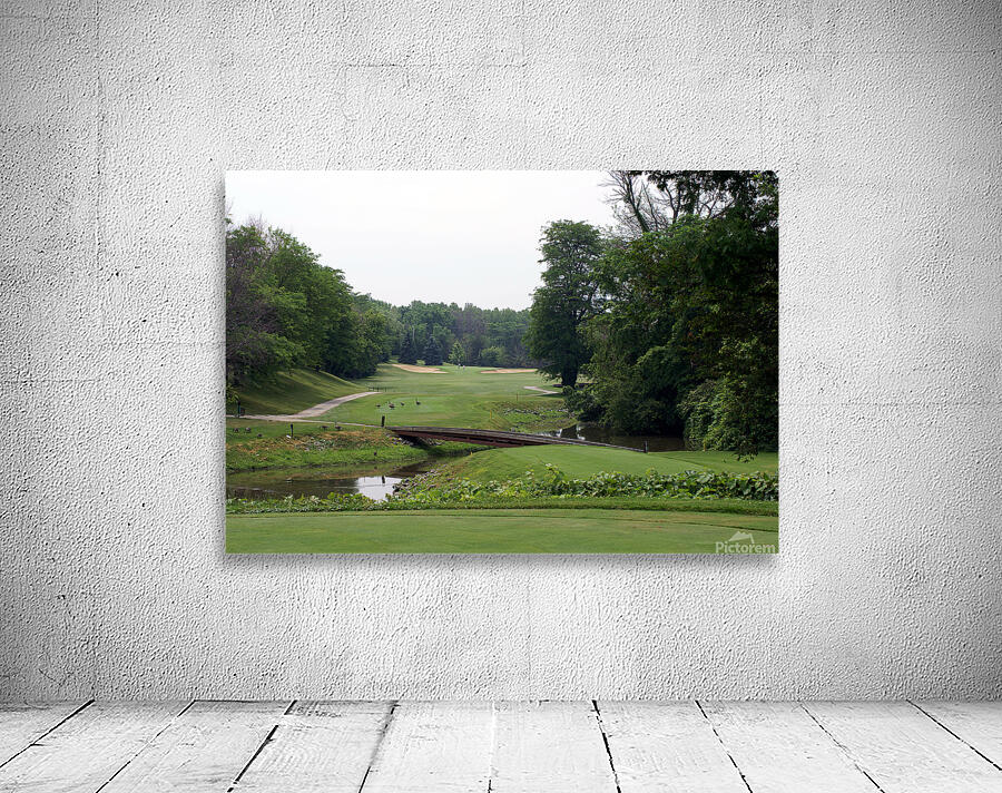 Of Geese and Golf at Sawmill Creek Wall Preview