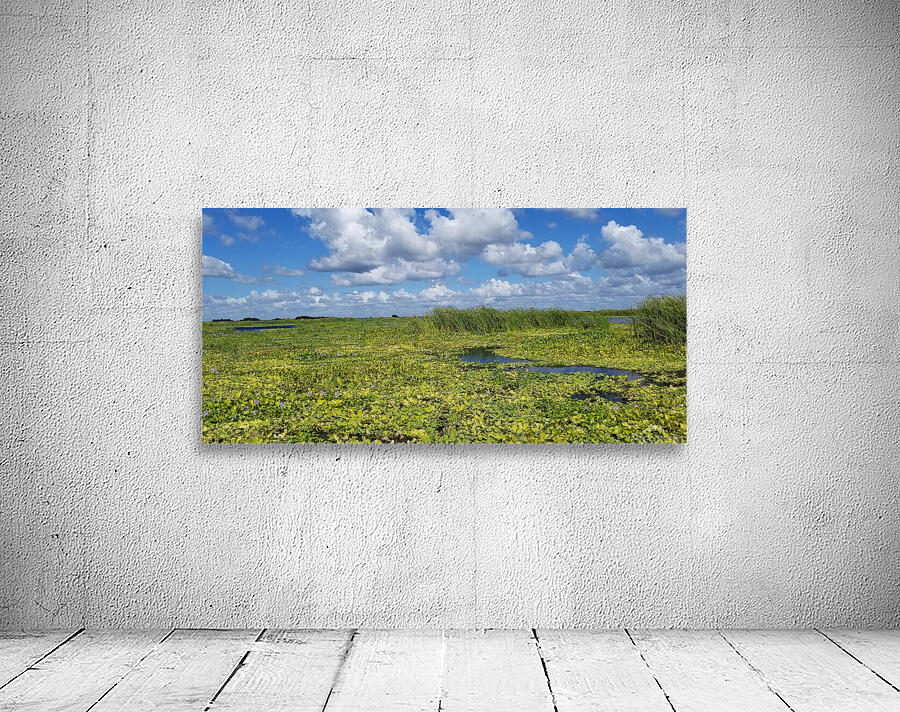 Blue Cypress Lake II Wall Preview