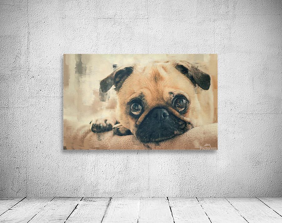 Pug Puppy Portrait by Pabodie Art
