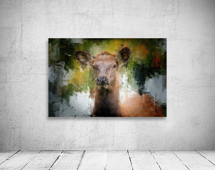 Soft Eyed Doe Wall Preview