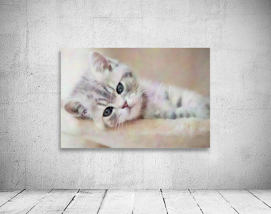 Kitty Cat Snuggling In Wall Preview