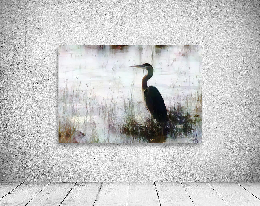 Great Blue Heron In The Shallows by Pabodie Art