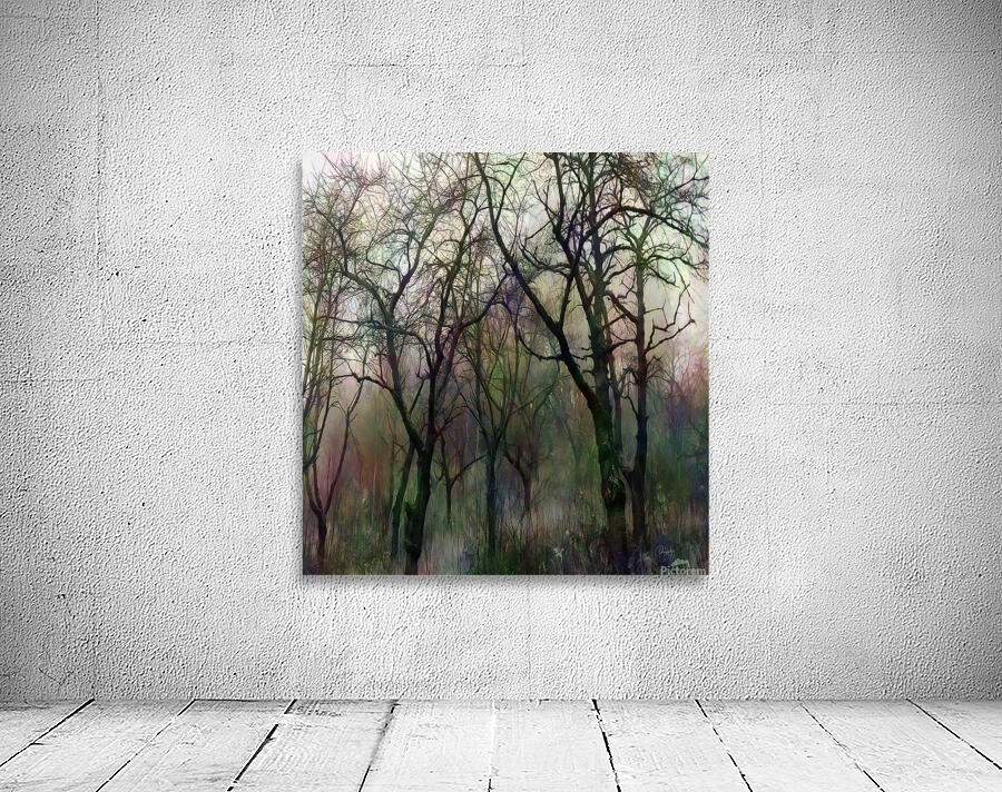 Finding Winter Colors Wall Preview